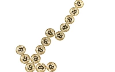 Crypto Staking for Beginners
